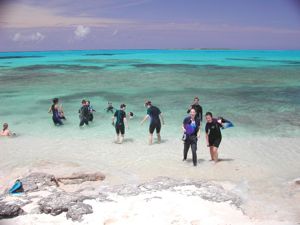 Students Snorkeling at the Gerace Research Centre.